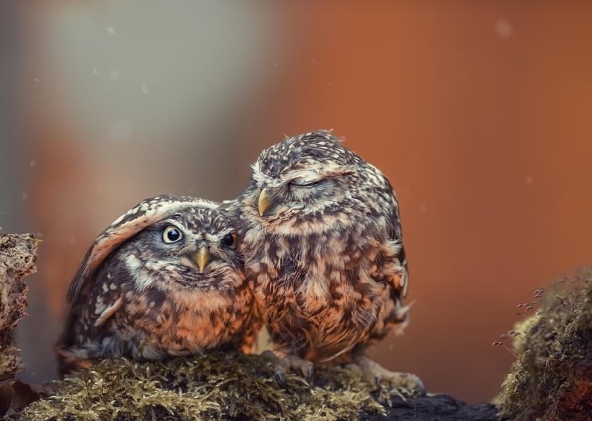 Screenshot_20200901-063017_Instagram